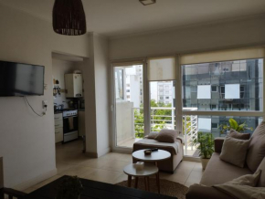SEMIPISO CON TERRAZA PLAZA MITRE